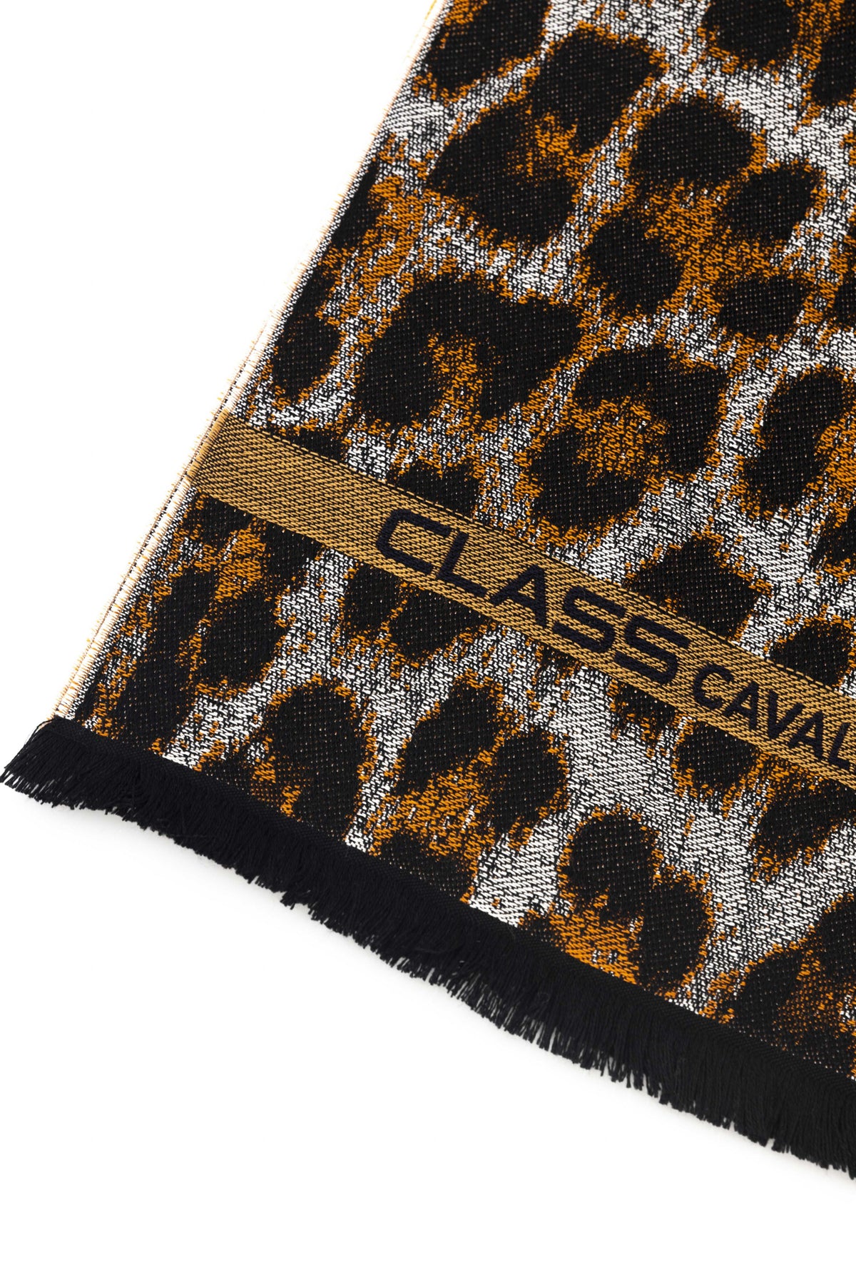 Cavalli Class Sciarpe Marrone