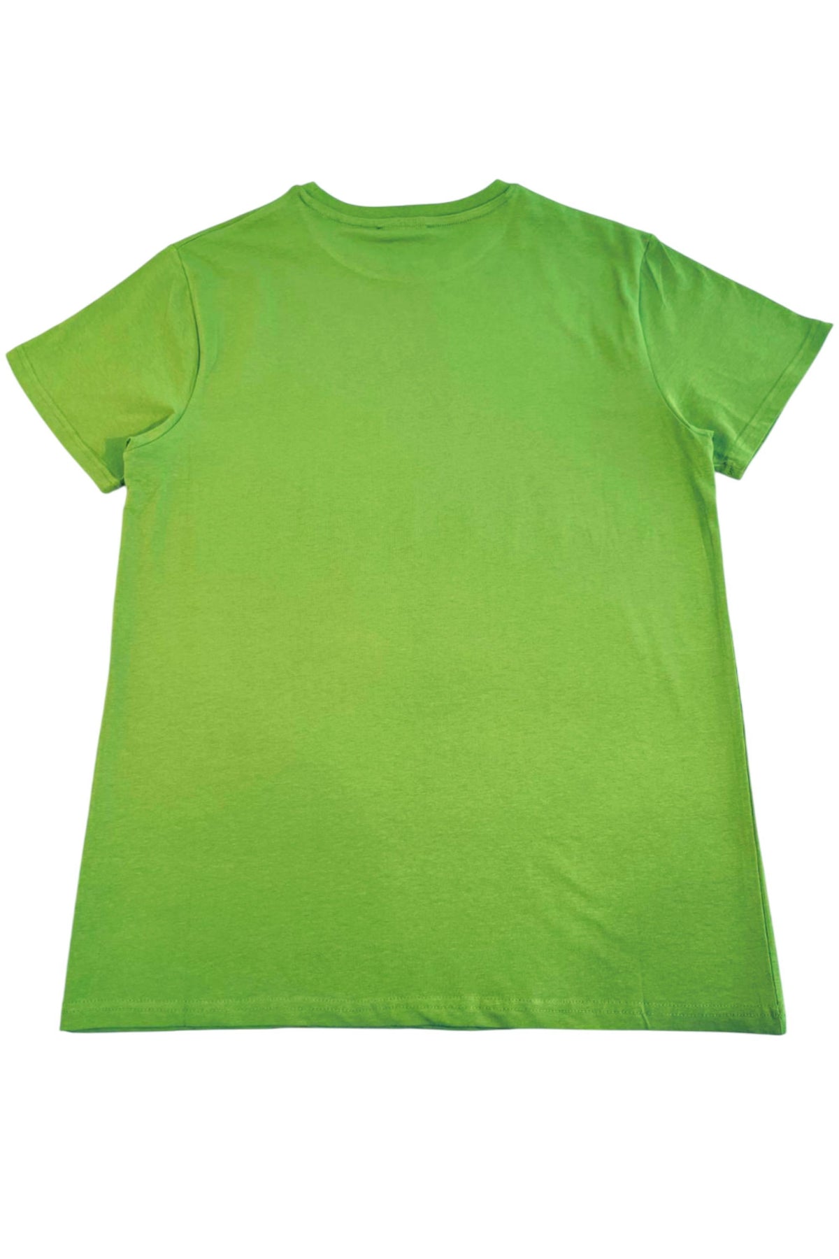 Iceberg Beachwear T-Shirt Verde