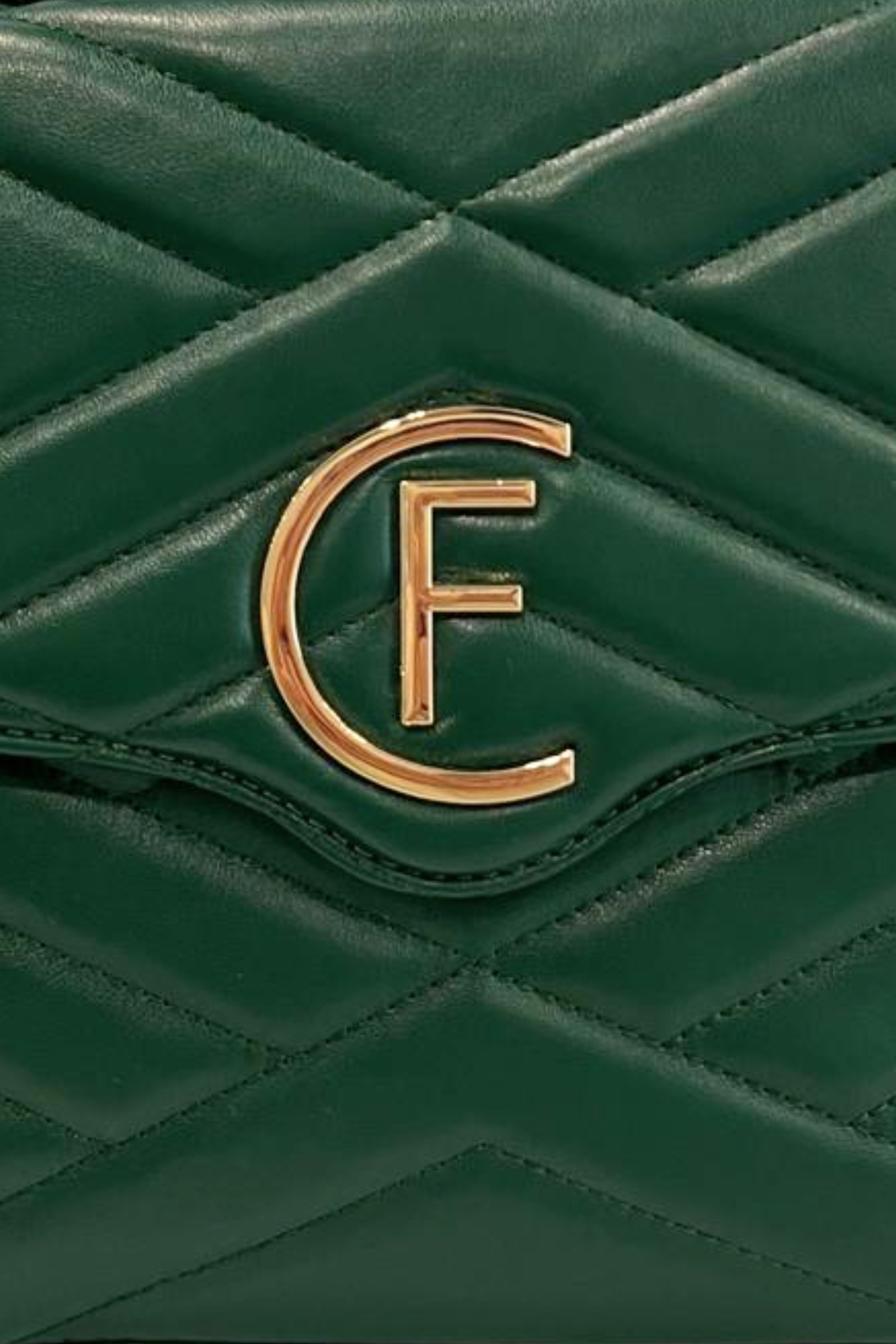 Cristinaeffe Borse a Mano Verde