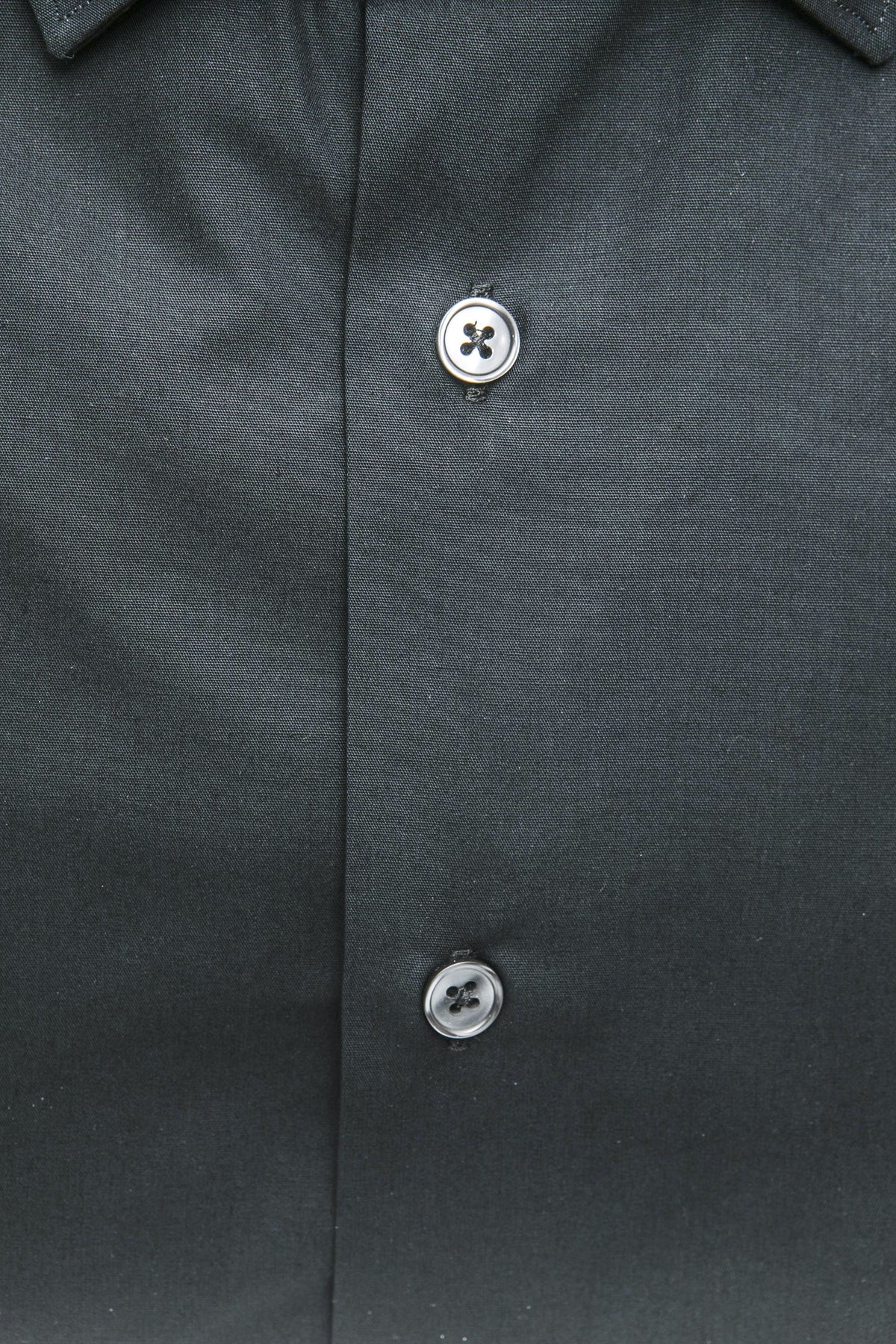 Robert Friedman Camicie Nero