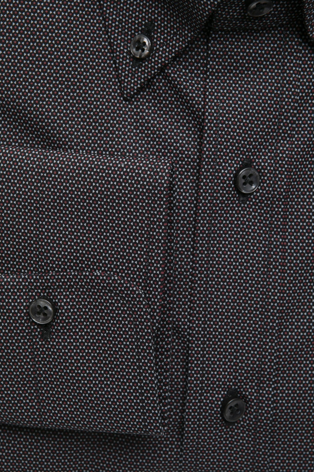 Robert Friedman Camicie Nero